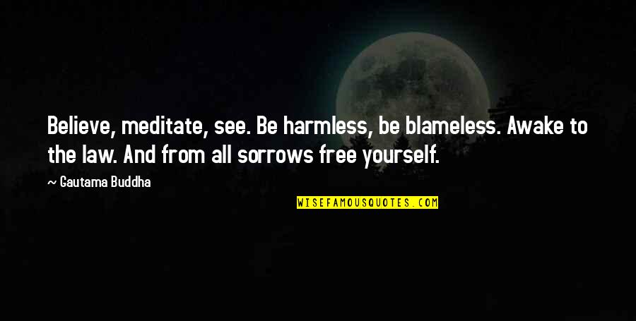 Tinieblas Mask Quotes By Gautama Buddha: Believe, meditate, see. Be harmless, be blameless. Awake