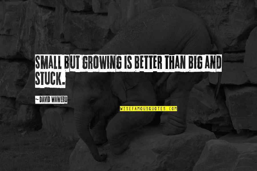 Tino Weekenders Quotes By David Waweru: Small but growing is better than big and Tino Weekenders Quotes By David Waweru: Small but growing is better than big and