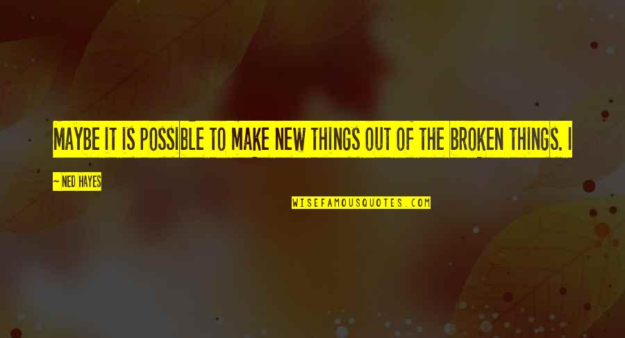 Tinseled Elves Quotes By Ned Hayes: Maybe it is possible to make new things