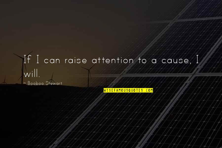 Tinsmiths Fabric Quotes By Booboo Stewart: If I can raise attention to a cause,