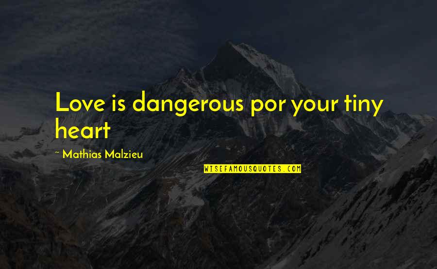 Tiny Heart Quotes By Mathias Malzieu: Love is dangerous por your tiny heart
