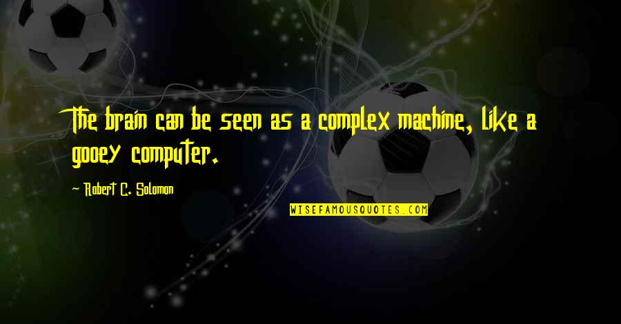 Tiny Tina Crumpets Quotes By Robert C. Solomon: The brain can be seen as a complex Tiny Tina Crumpets Quotes By Robert C. Solomon: The brain can be seen as a complex