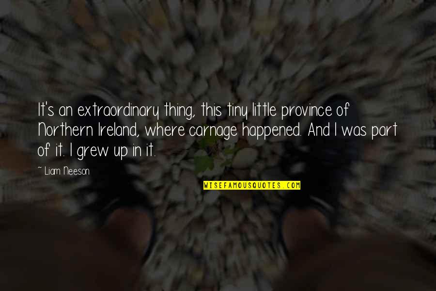 Tiny's Quotes By Liam Neeson: It's an extraordinary thing, this tiny little province Tiny's Quotes By Liam Neeson: It's an extraordinary thing, this tiny little province