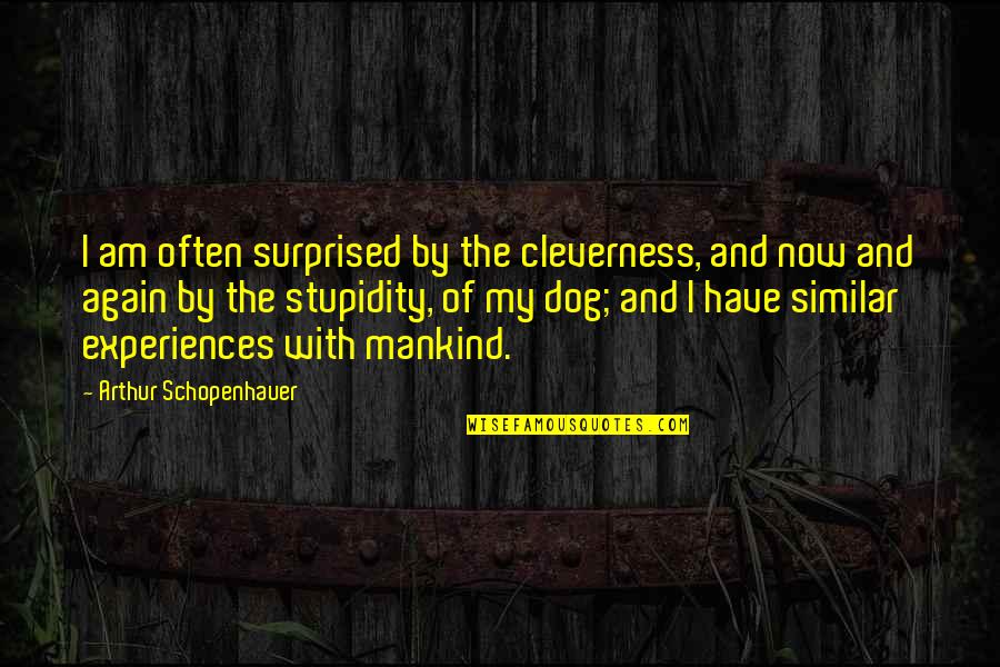 Tiomkin Giant Quotes By Arthur Schopenhauer: I am often surprised by the cleverness, and Tiomkin Giant Quotes By Arthur Schopenhauer: I am often surprised by the cleverness, and