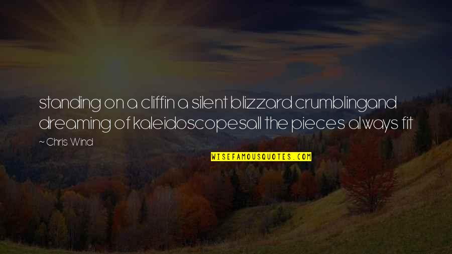 Tipkipnic Quotes By Chris Wind: standing on a cliffin a silent blizzard crumblingand