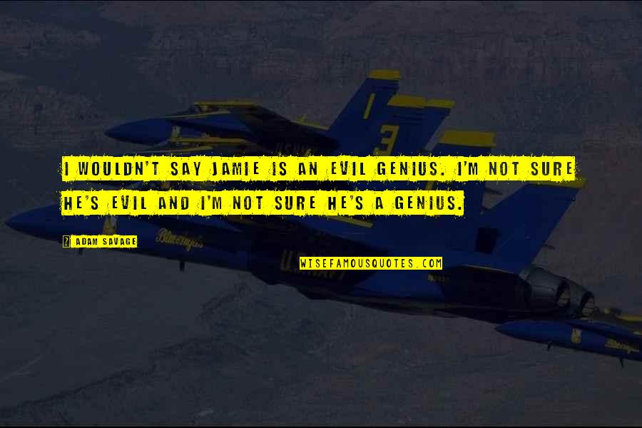 Tipograph Law Quotes By Adam Savage: I wouldn't say jamie is an evil genius. Tipograph Law Quotes By Adam Savage: I wouldn't say jamie is an evil genius.