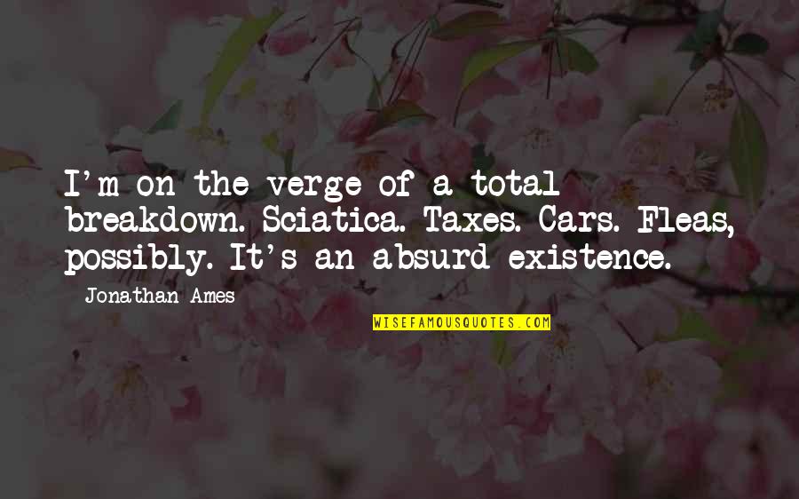 Tipper Van Insurance Quotes By Jonathan Ames: I'm on the verge of a total breakdown.