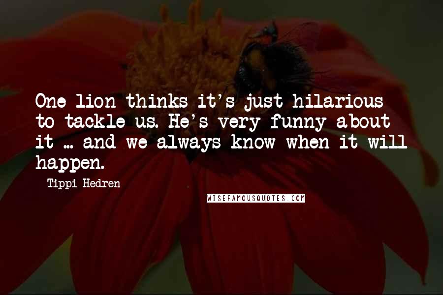 Tippi Hedren quotes: One lion thinks it's just hilarious to tackle us. He's very funny about it ... and we always know when it will happen.