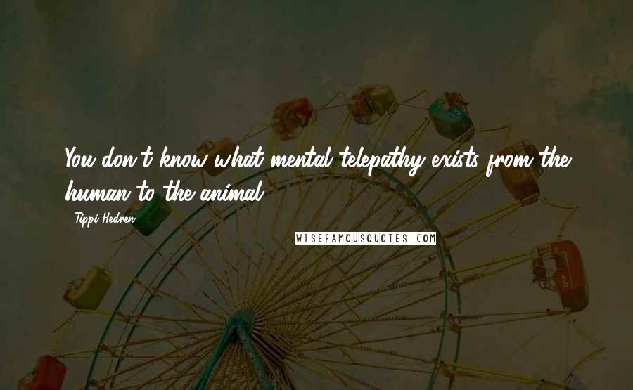 Tippi Hedren quotes: You don't know what mental telepathy exists from the human to the animal.