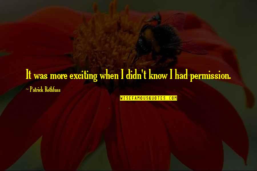 Tirada De Cartas Quotes By Patrick Rothfuss: It was more exciting when I didn't know Tirada De Cartas Quotes By Patrick Rothfuss: It was more exciting when I didn't know