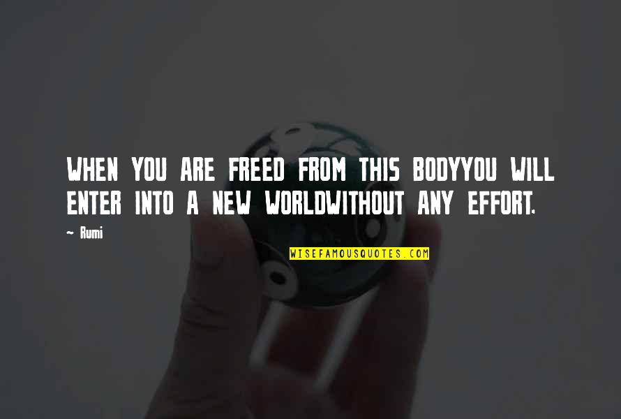 Tired Mind Body And Soul Quotes By Rumi: WHEN YOU ARE FREED FROM THIS BODYYOU WILL