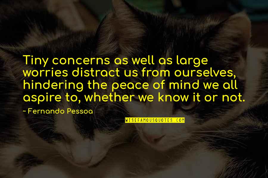 Tired Of Caring Quotes By Fernando Pessoa: Tiny concerns as well as large worries distract Tired Of Caring Quotes By Fernando Pessoa: Tiny concerns as well as large worries distract
