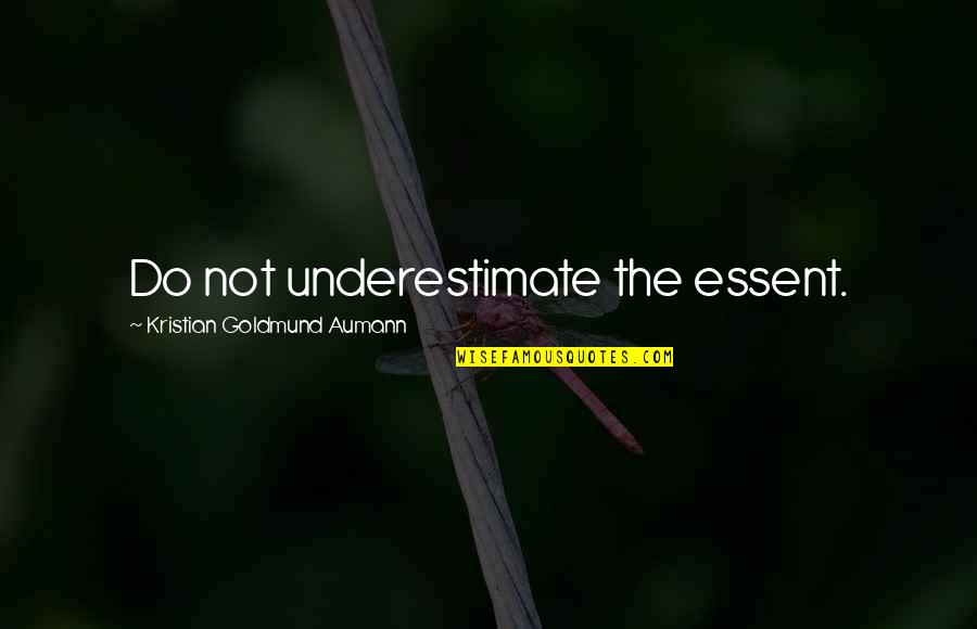 Tired Of Hurting You Quotes By Kristian Goldmund Aumann: Do not underestimate the essent.
