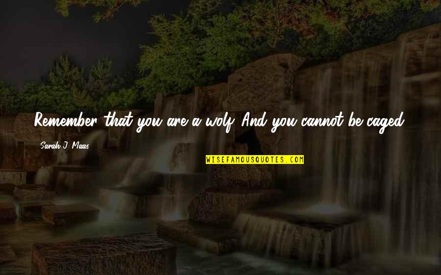 Tirolesas De Ensenada Quotes By Sarah J. Maas: Remember that you are a wolf. And you