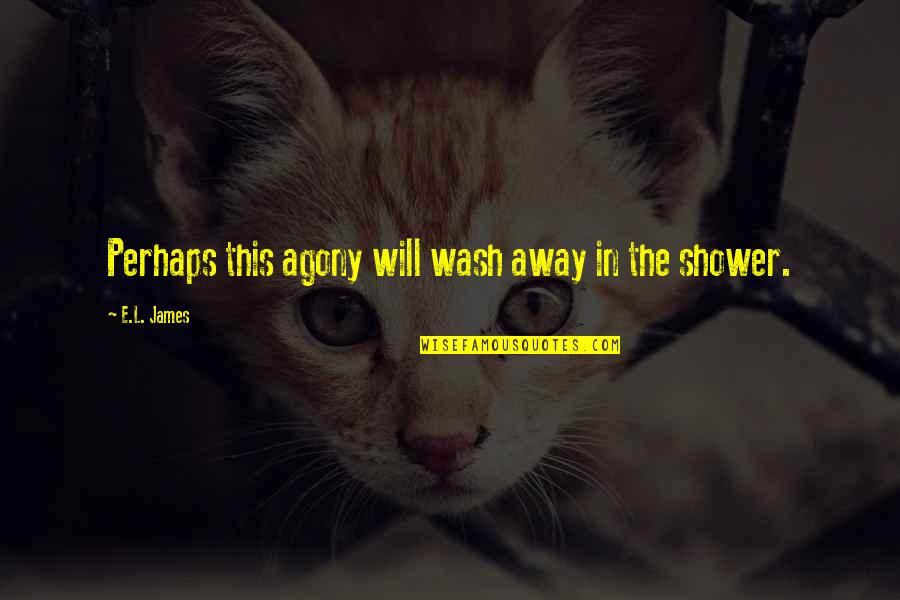 Tirrells Appliance Quotes By E.L. James: Perhaps this agony will wash away in the
