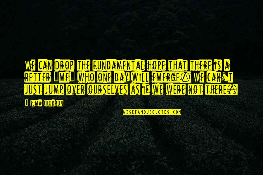 Tiso Appliances Quotes By Pema Chodron: We can drop the fundamental hope that there