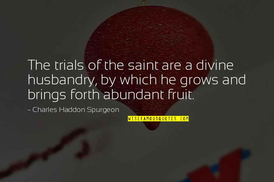 Titans Quotes By Charles Haddon Spurgeon: The trials of the saint are a divine
