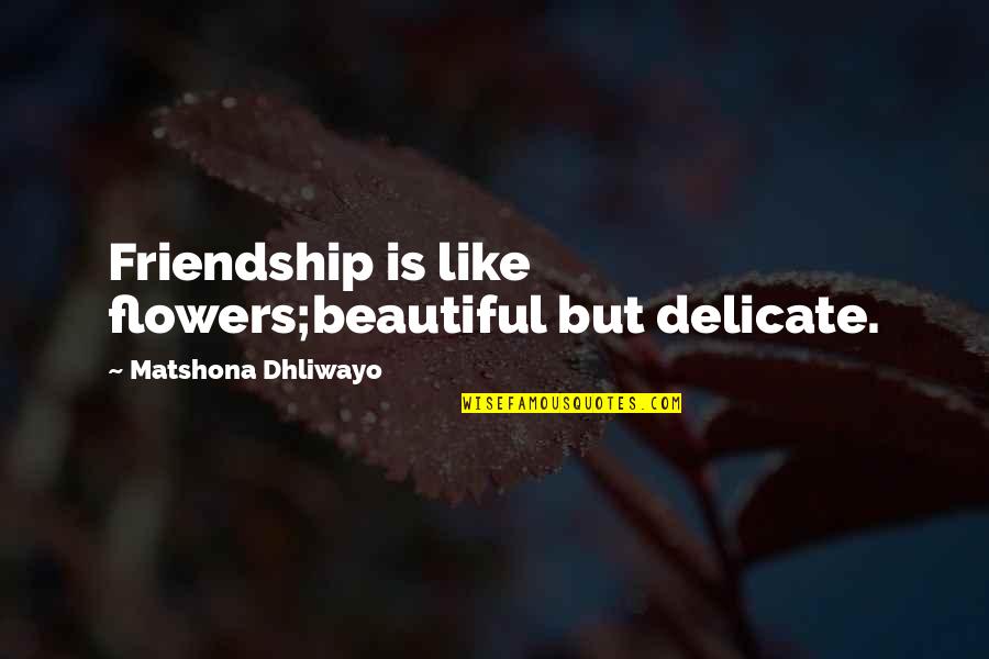 Titilope Ajijo Quotes By Matshona Dhliwayo: Friendship is like flowers;beautiful but delicate. Titilope Ajijo Quotes By Matshona Dhliwayo: Friendship is like flowers;beautiful but delicate.