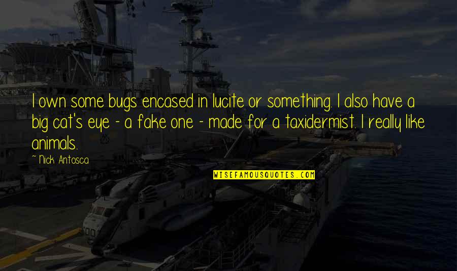 Titled Tuesday Quotes By Nick Antosca: I own some bugs encased in lucite or Titled Tuesday Quotes By Nick Antosca: I own some bugs encased in lucite or