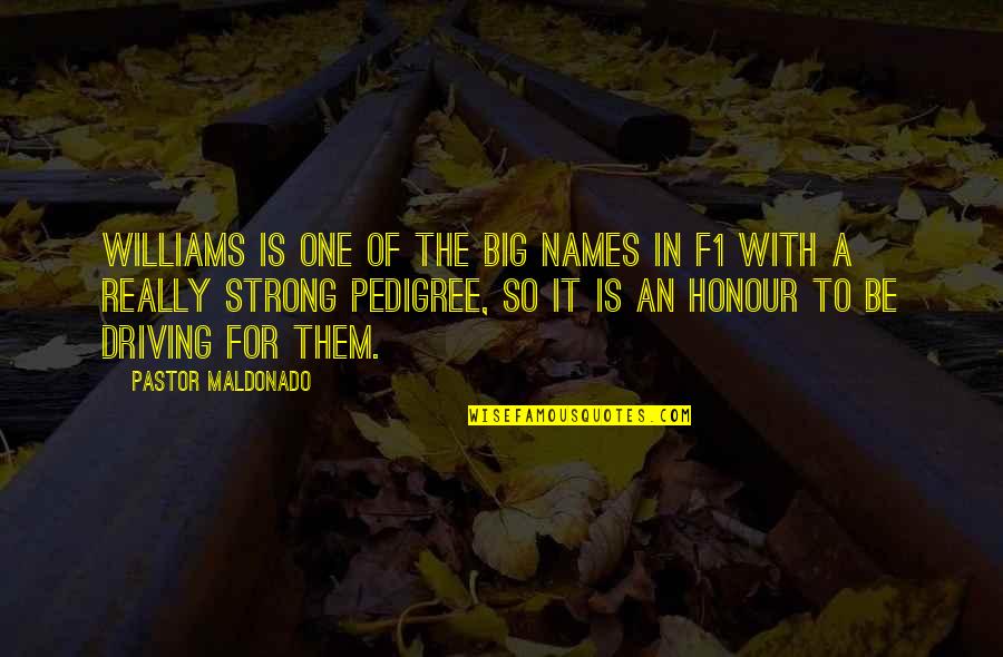 Tito Ortiz Quotes By Pastor Maldonado: Williams is one of the big names in Tito Ortiz Quotes By Pastor Maldonado: Williams is one of the big names in