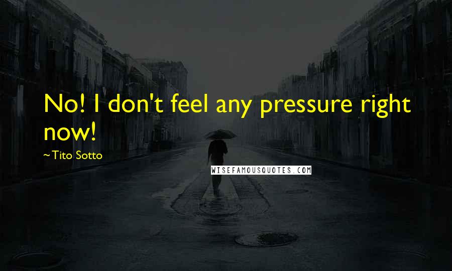 Tito Sotto quotes: No! I don't feel any pressure right now!