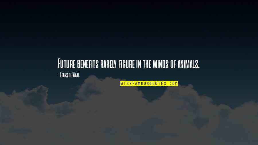 Tittar P Quotes By Frans De Waal: Future benefits rarely figure in the minds of Tittar P Quotes By Frans De Waal: Future benefits rarely figure in the minds of