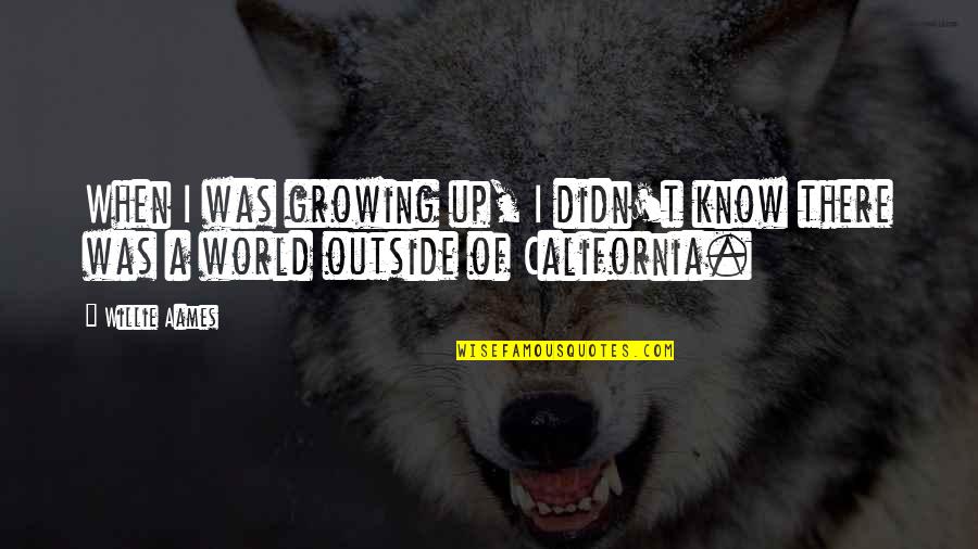 Titubeos Quotes By Willie Aames: When I was growing up, I didn't know