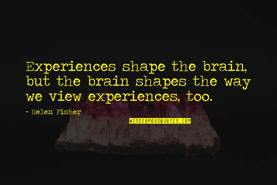 Titular Character Quotes By Helen Fisher: Experiences shape the brain, but the brain shapes