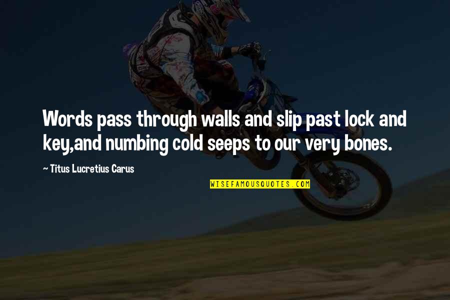 Titus Lucretius Carus Quotes By Titus Lucretius Carus: Words pass through walls and slip past lock Titus Lucretius Carus Quotes By Titus Lucretius Carus: Words pass through walls and slip past lock