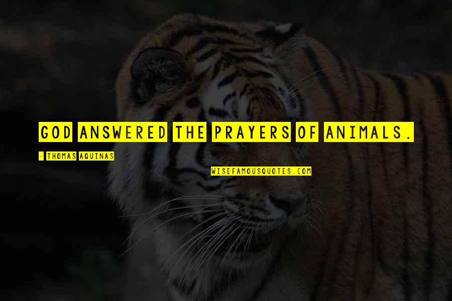 Tiwana Bell Quotes By Thomas Aquinas: God answered the prayers of animals. Tiwana Bell Quotes By Thomas Aquinas: God answered the prayers of animals.