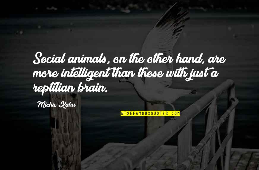 Tj Kippen Quotes By Michio Kaku: Social animals, on the other hand, are more Tj Kippen Quotes By Michio Kaku: Social animals, on the other hand, are more