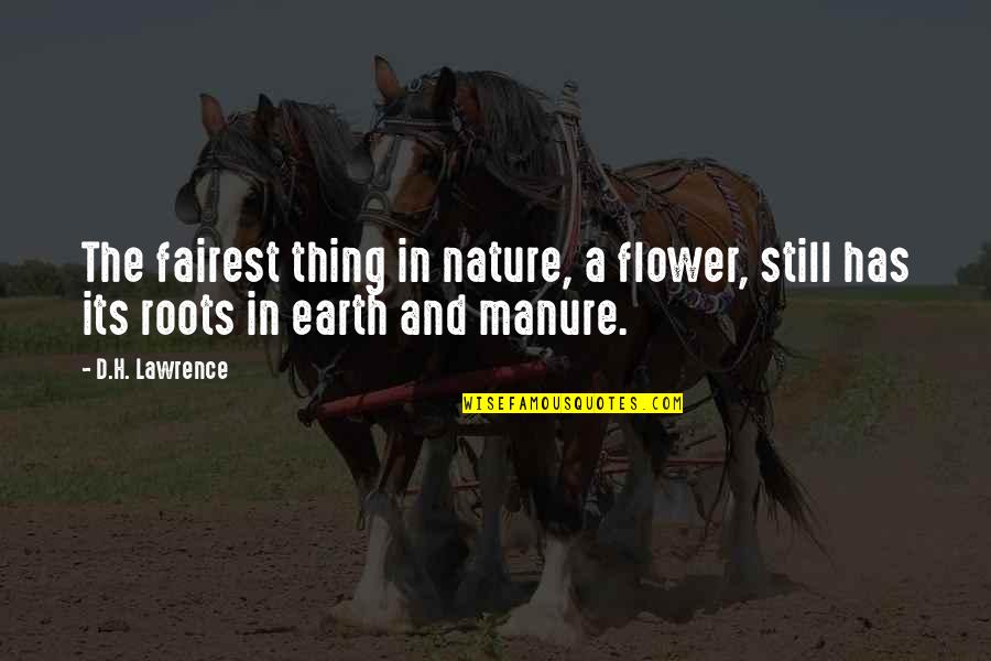 Tj Lane Quotes By D.H. Lawrence: The fairest thing in nature, a flower, still