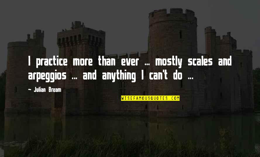 Tkam Ch 28 Quotes By Julian Bream: I practice more than ever ... mostly scales Tkam Ch 28 Quotes By Julian Bream: I practice more than ever ... mostly scales