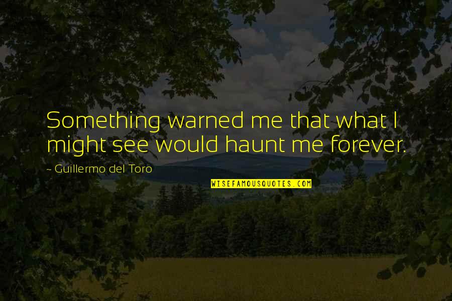 Tkam Chapter 14 Quotes By Guillermo Del Toro: Something warned me that what I might see
