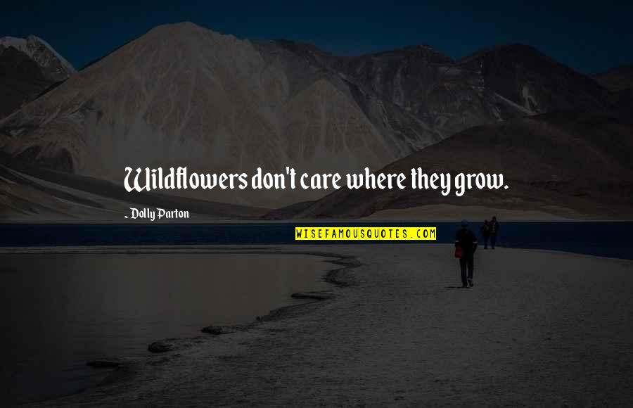 Tkam Context Quotes By Dolly Parton: Wildflowers don't care where they grow.