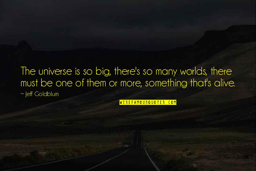 Tkaronto Quotes By Jeff Goldblum: The universe is so big, there's so many