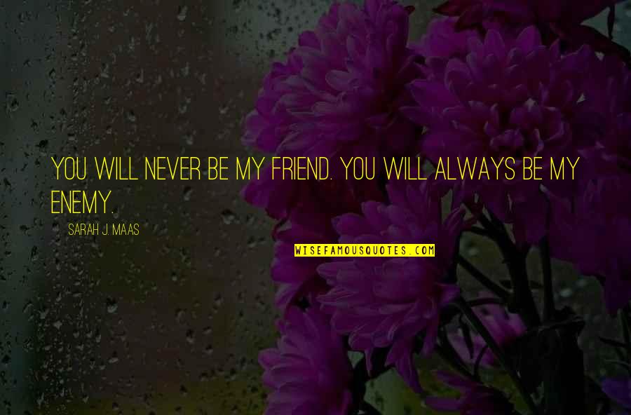 Tkunderground Quotes By Sarah J. Maas: You will NEVER be my friend. You will