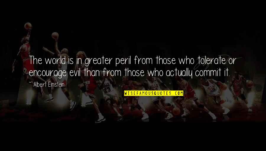 Tlmd Quotes By Albert Einstein: The world is in greater peril from those
