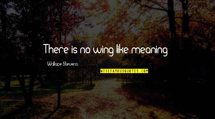 Tmnt Donnie Quotes By Wallace Stevens: There is no wing like meaning