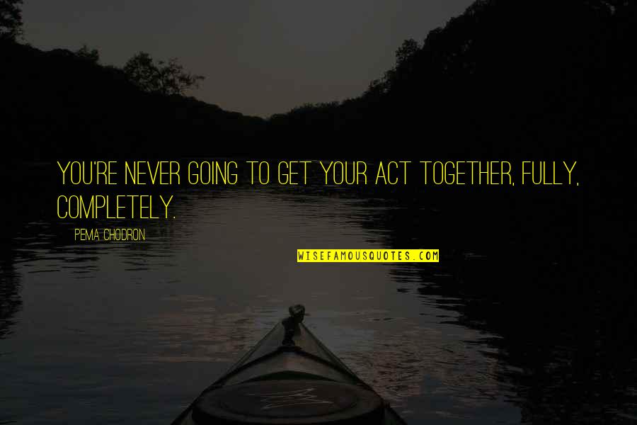 Tmnt Master Splinter Quotes By Pema Chodron: You're never going to get your act together,