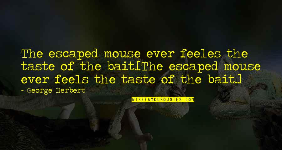Tna Funny Quotes By George Herbert: The escaped mouse ever feeles the taste of
