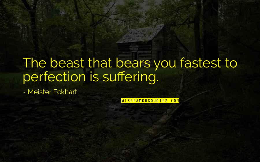 Tnt Tracking Quotes By Meister Eckhart: The beast that bears you fastest to perfection Tnt Tracking Quotes By Meister Eckhart: The beast that bears you fastest to perfection