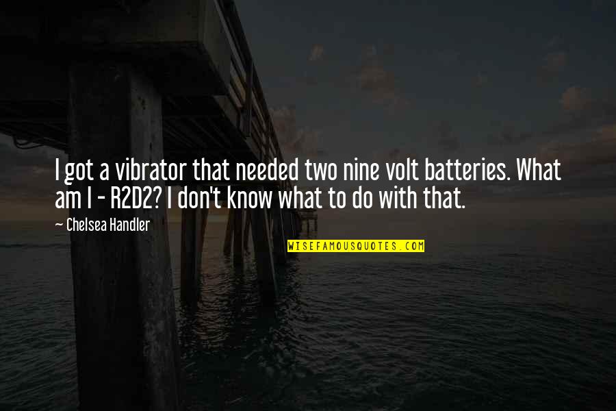To A T Quotes By Chelsea Handler: I got a vibrator that needed two nine