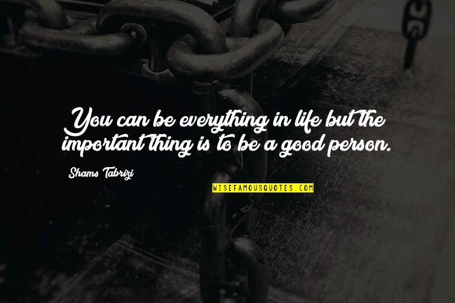 To Be A Good Person Quotes By Shams Tabrizi: You can be everything in life but the