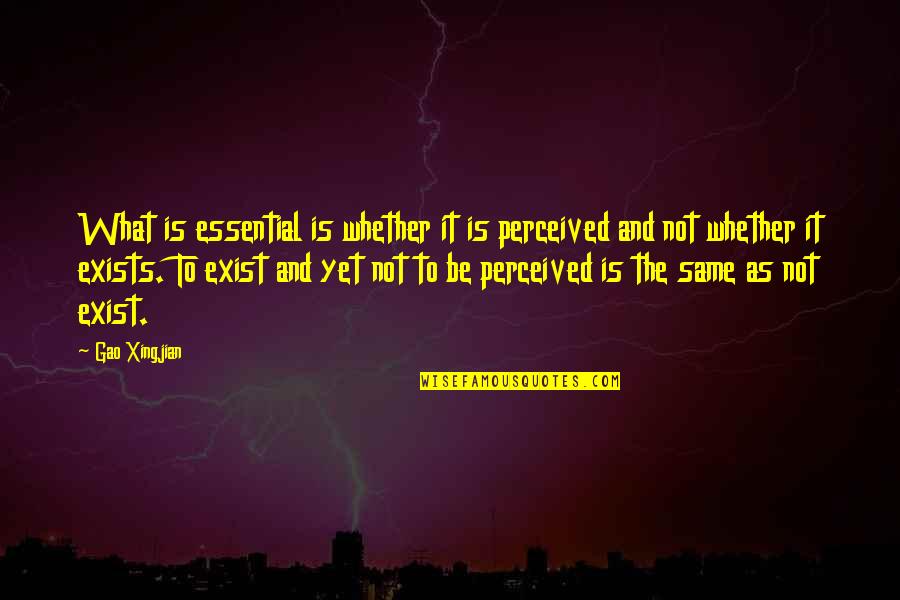 To Be Is To Be Perceived Quotes By Gao Xingjian: What is essential is whether it is perceived