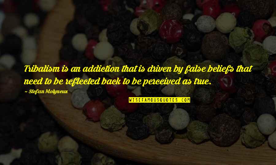 To Be Is To Be Perceived Quotes By Stefan Molyneux: Tribalism is an addiction that is driven by