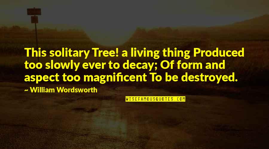 To Be Magnificent Quotes By William Wordsworth: This solitary Tree! a living thing Produced too