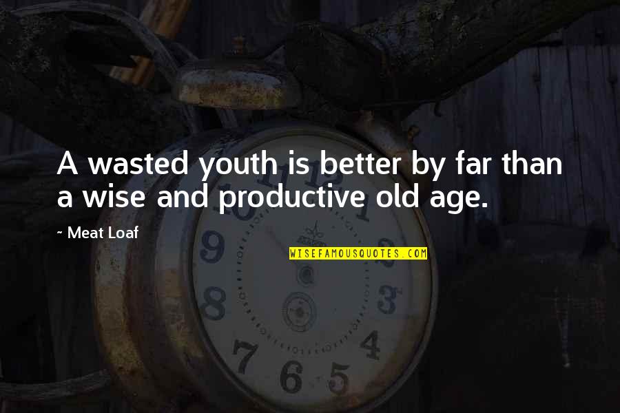 To Be Old And Wise Quotes By Meat Loaf: A wasted youth is better by far than