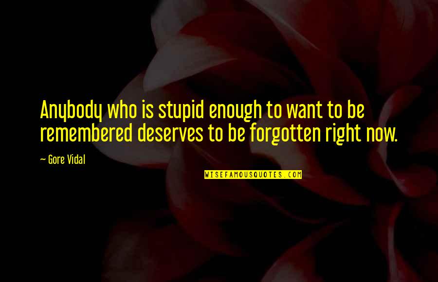 To Be Remembered Quotes By Gore Vidal: Anybody who is stupid enough to want to