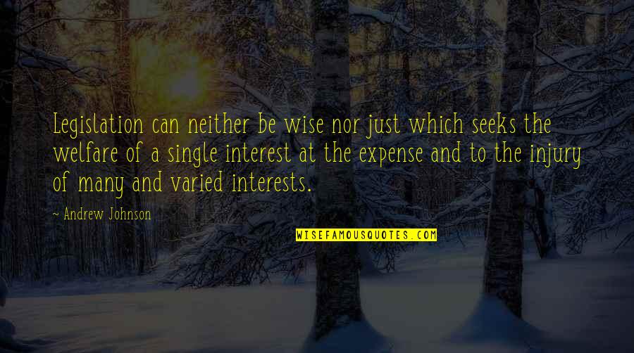 To Be Single Quotes By Andrew Johnson: Legislation can neither be wise nor just which